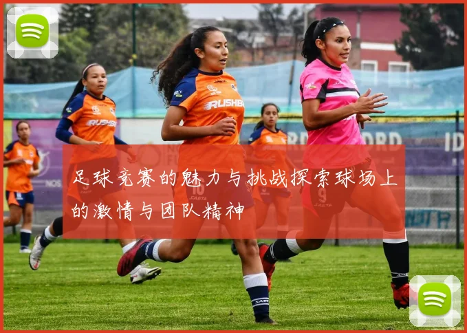 足球竞赛的魅力与挑战探索球场上的激情与团队精神