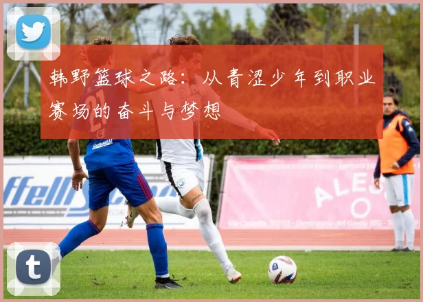 韩野篮球之路：从青涩少年到职业赛场的奋斗与梦想