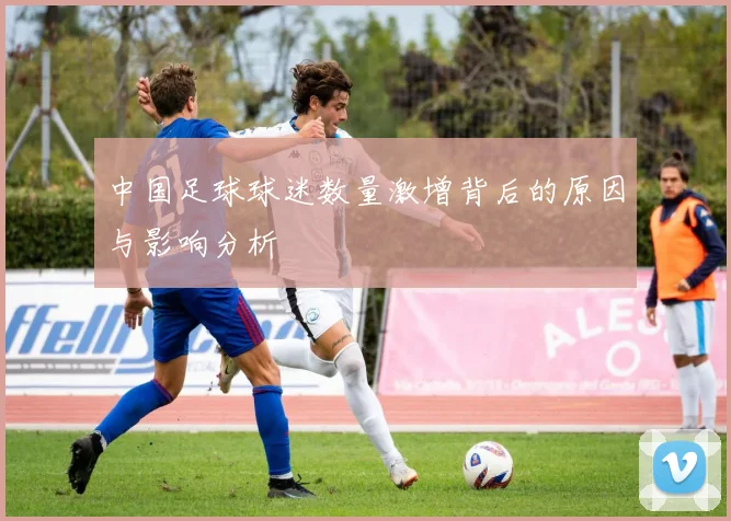 中国足球球迷数量激增背后的原因与影响分析